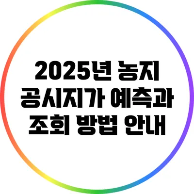 2025년 농지 공시지가 예측과 조회 방법 안내