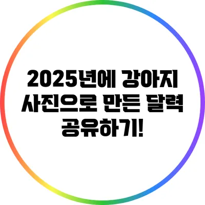 2025년에 강아지 사진으로 만든 달력 공유하기!