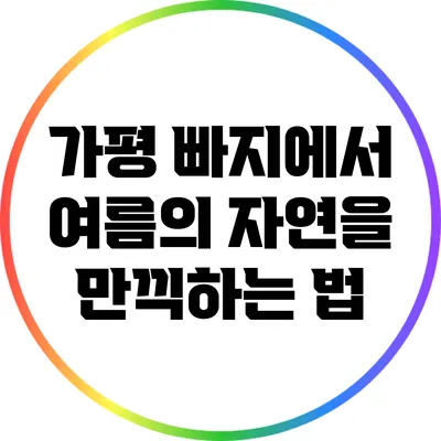 가평 빠지에서 여름의 자연을 만끽하는 법