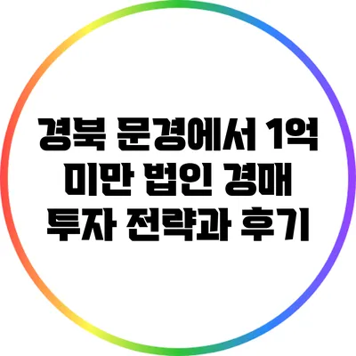 경북 문경에서 1억 미만 법인 경매 투자 전략과 후기