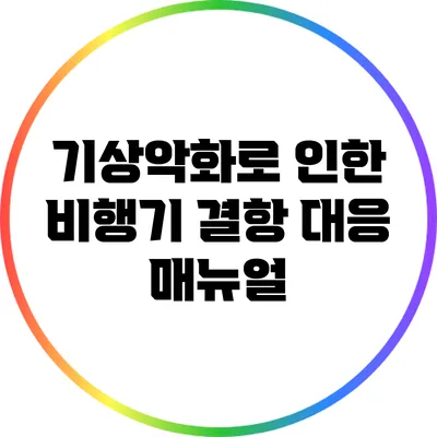 기상악화로 인한 비행기 결항 대응 매뉴얼