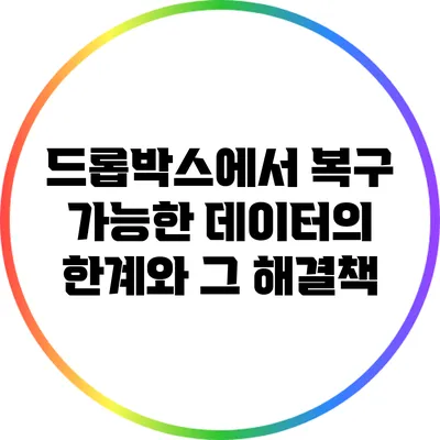 드롭박스에서 복구 가능한 데이터의 한계와 그 해결책