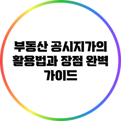 부동산 공시지가의 활용법과 장점 완벽 가이드