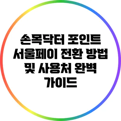 손목닥터 포인트 서울페이 전환 방법 및 사용처 완벽 가이드