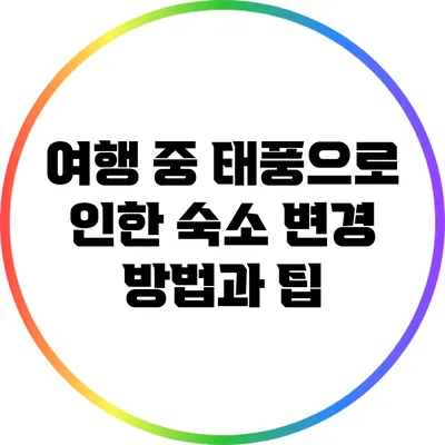 여행 중 태풍으로 인한 숙소 변경 방법과 팁