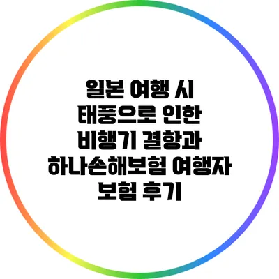 일본 여행 시 태풍으로 인한 비행기 결항과 하나손해보험 여행자 보험 후기