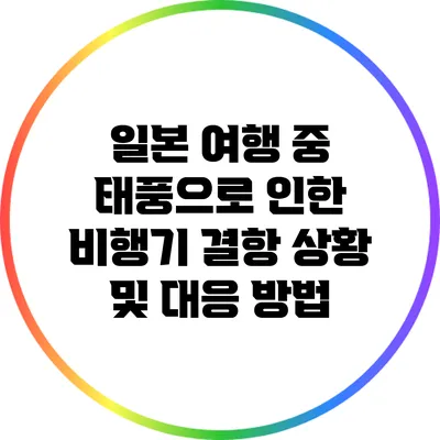 일본 여행 중 태풍으로 인한 비행기 결항 상황 및 대응 방법