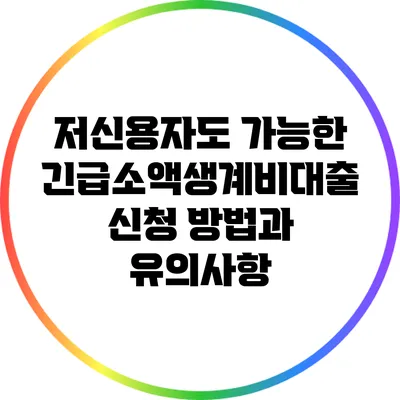 저신용자도 가능한 긴급소액생계비대출 신청 방법과 유의사항