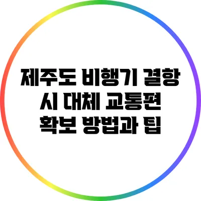 제주도 비행기 결항 시 대체 교통편 확보 방법과 팁
