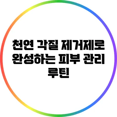 천연 각질 제거제로 완성하는 피부 관리 루틴