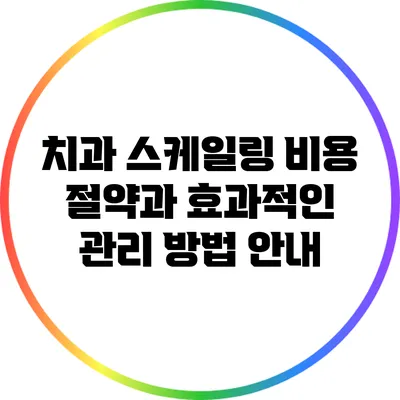 치과 스케일링 비용 절약과 효과적인 관리 방법 안내