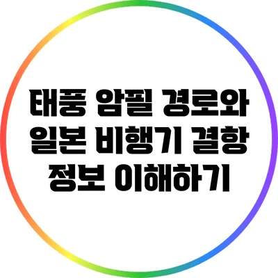 태풍 암필 경로와 일본 비행기 결항 정보 이해하기