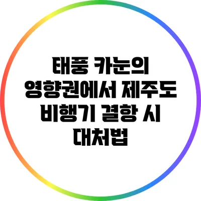 태풍 카눈의 영향권에서 제주도 비행기 결항 시 대처법