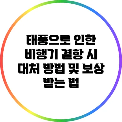 태풍으로 인한 비행기 결항 시 대처 방법 및 보상 받는 법