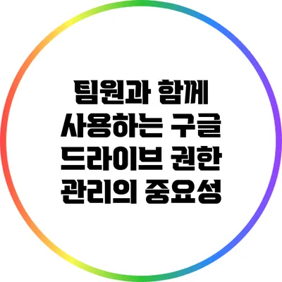 팀원과 함께 사용하는 구글 드라이브: 권한 관리의 중요성