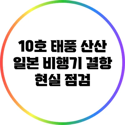 10호 태풍 산산: 일본 비행기 결항 현실 점검