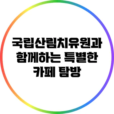 국립산림치유원과 함께하는 특별한 카페 탐방