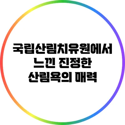국립산림치유원에서 느낀 진정한 산림욕의 매력
