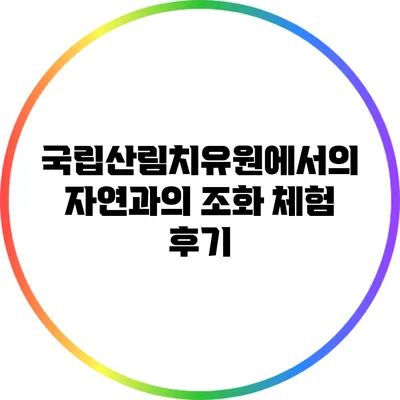 국립산림치유원에서의 자연과의 조화 체험 후기