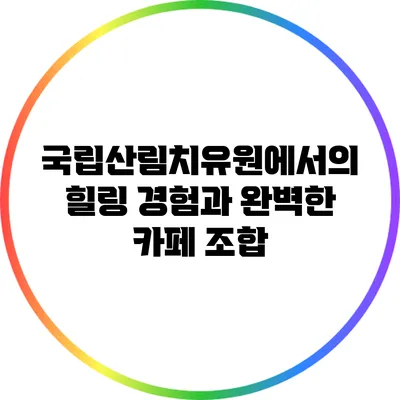 국립산림치유원에서의 힐링 경험과 완벽한 카페 조합