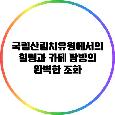 국립산림치유원에서의 힐링과 카페 탐방의 완벽한 조화