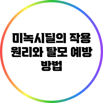 미녹시딜의 작용 원리와 탈모 예방 방법