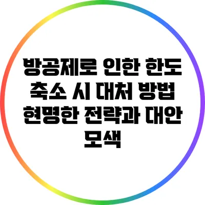 방공제로 인한 한도 축소 시 대처 방법: 현명한 전략과 대안 모색