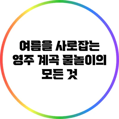 여름을 사로잡는 영주 계곡 물놀이의 모든 것