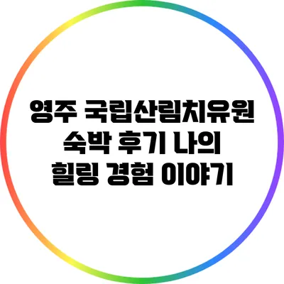 영주 국립산림치유원 숙박 후기: 나의 힐링 경험 이야기