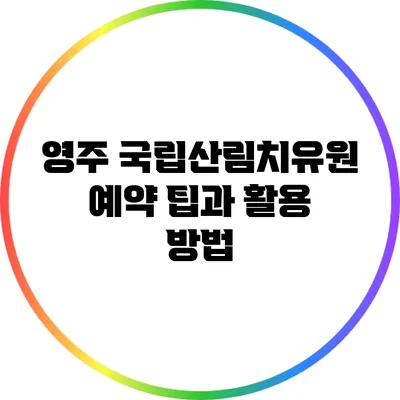 영주 국립산림치유원 예약 팁과 활용 방법