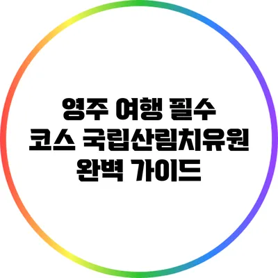 영주 여행 필수 코스: 국립산림치유원 완벽 가이드