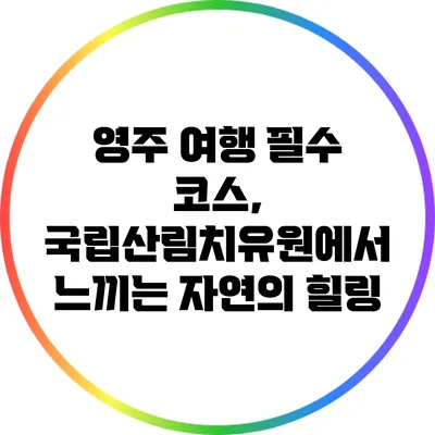 영주 여행 필수 코스, 국립산림치유원에서 느끼는 자연의 힐링