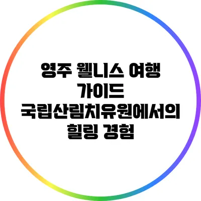 영주 웰니스 여행 가이드: 국립산림치유원에서의 힐링 경험