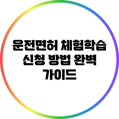 운전면허 체험학습 신청 방법 완벽 가이드