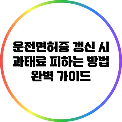 운전면허증 갱신 시 과태료 피하는 방법: 완벽 가이드