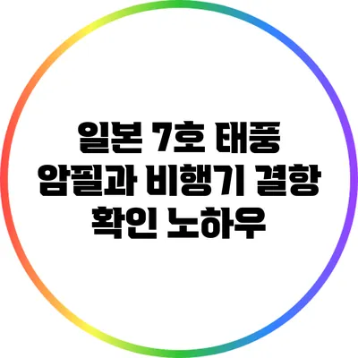 일본 7호 태풍 암필과 비행기 결항 확인 노하우