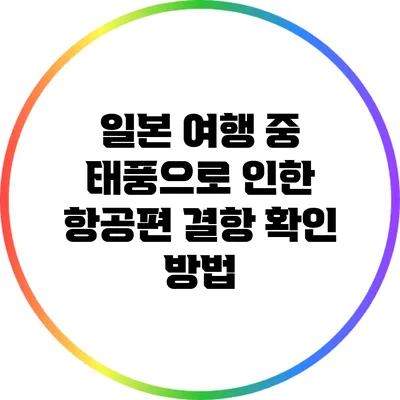일본 여행 중 태풍으로 인한 항공편 결항 확인 방법