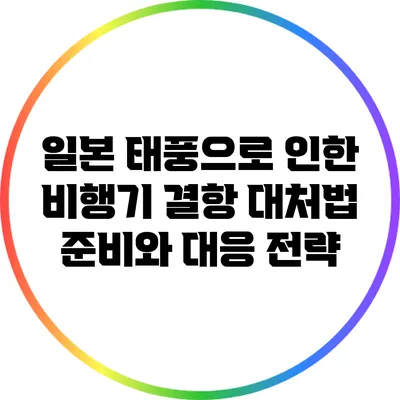 일본 태풍으로 인한 비행기 결항 대처법: 준비와 대응 전략