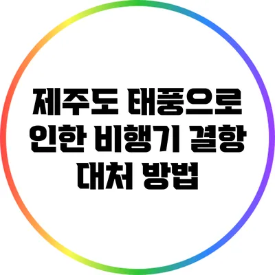 제주도 태풍으로 인한 비행기 결항 대처 방법