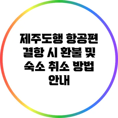 제주도행 항공편 결항 시 환불 및 숙소 취소 방법 안내
