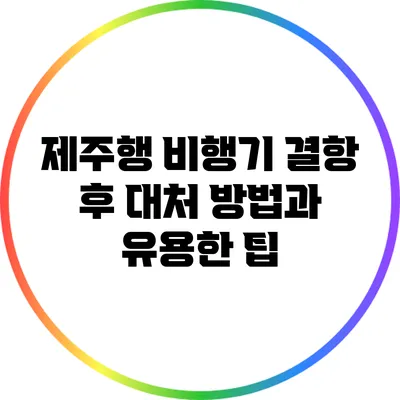 제주행 비행기 결항 후 대처 방법과 유용한 팁