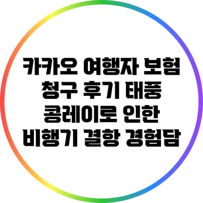 카카오 여행자 보험 청구 후기: 태풍 콩레이로 인한 비행기 결항 경험담