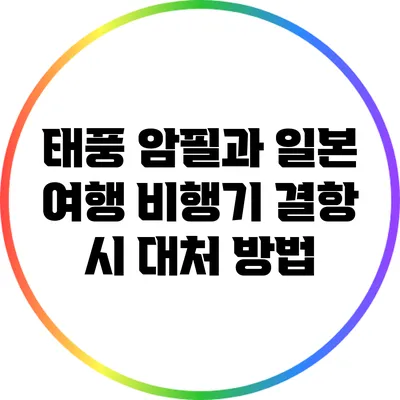 태풍 암필과 일본 여행: 비행기 결항 시 대처 방법