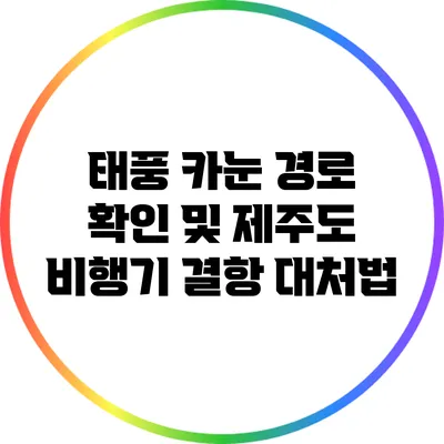 태풍 카눈 경로 확인 및 제주도 비행기 결항 대처법