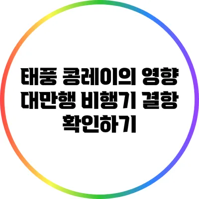 태풍 콩레이의 영향: 대만행 비행기 결항 확인하기