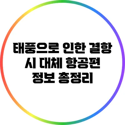 태풍으로 인한 결항 시 대체 항공편 정보 총정리