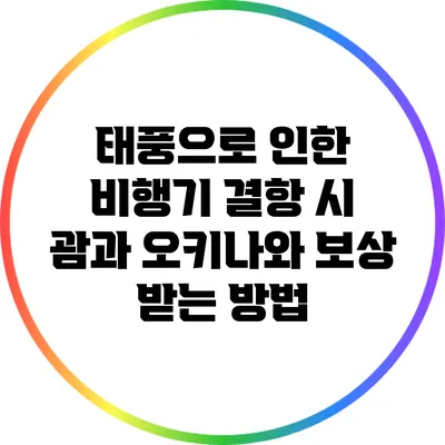 태풍으로 인한 비행기 결항 시 괌과 오키나와 보상 받는 방법