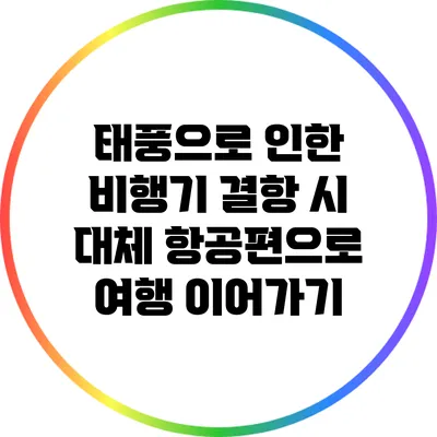 태풍으로 인한 비행기 결항 시 대체 항공편으로 여행 이어가기