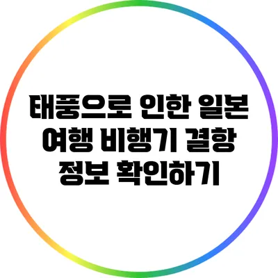 태풍으로 인한 일본 여행 비행기 결항 정보 확인하기
