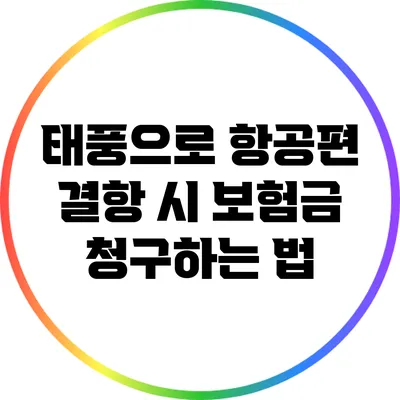 태풍으로 항공편 결항 시 보험금 청구하는 법